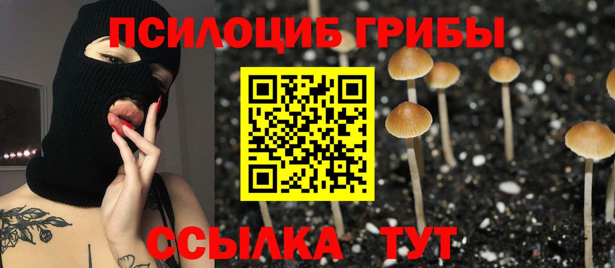 Коркино  Псилоцибиновые грибы ЛСД  цены   Вход с VPN  Галлюциногенные грибы Psilocybine cubensis 