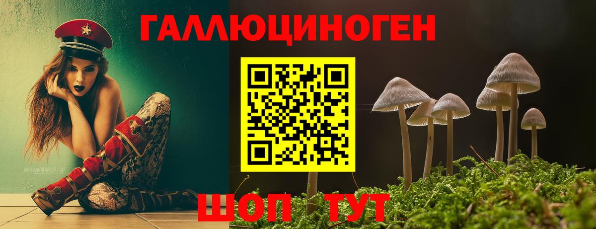 Псилоцибиновые грибы Magic Shrooms Коркино